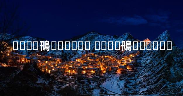 �ɶ��鳵������ �ɶ��鳵���޹�˾